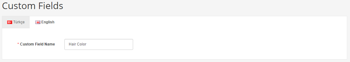 custom fields backend