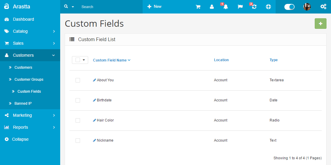custom fields backend