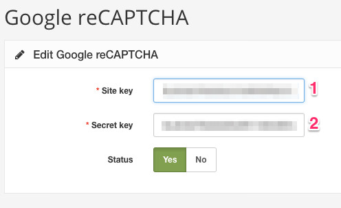 Google ReCaptcha